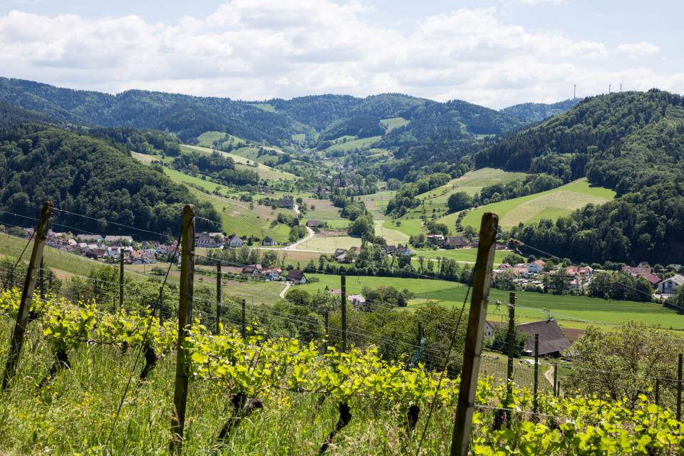 Umgebung – Stadt, Natur & Geschichte erleben - Hotel Schloßmühle